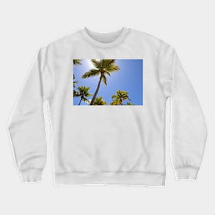 Palm Trees Crewneck Sweatshirt